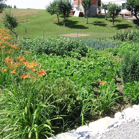 Hotel House Osana Grabovac  Esterno foto