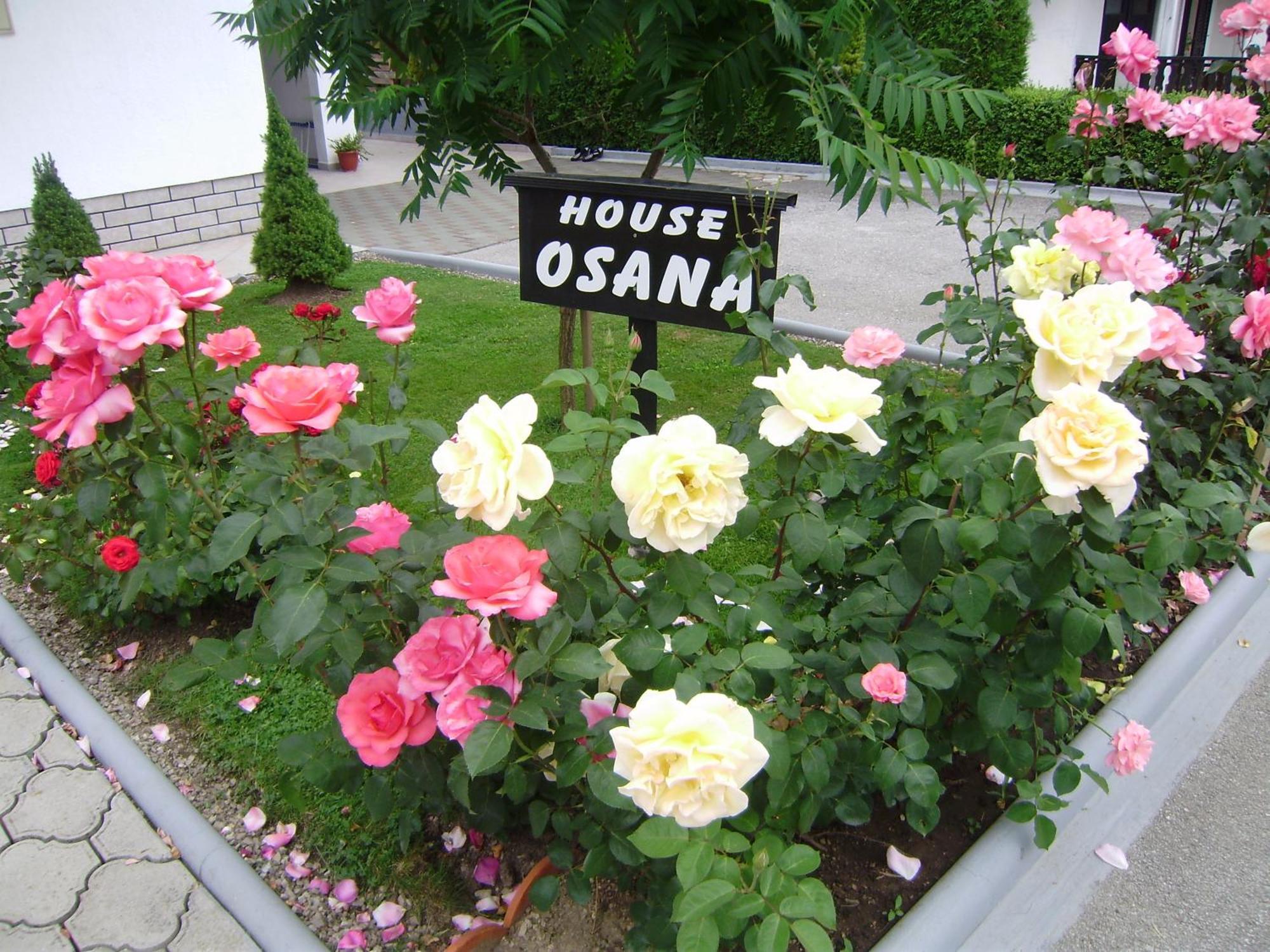 Hotel House Osana Grabovac  Esterno foto