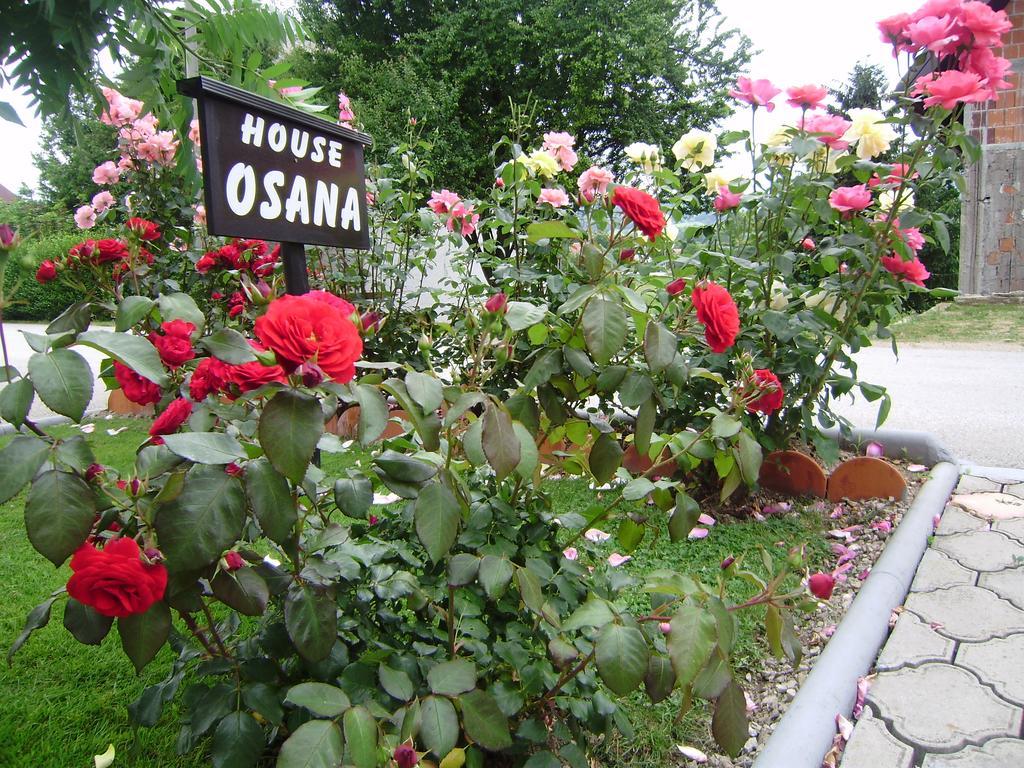 Hotel House Osana Grabovac  Esterno foto